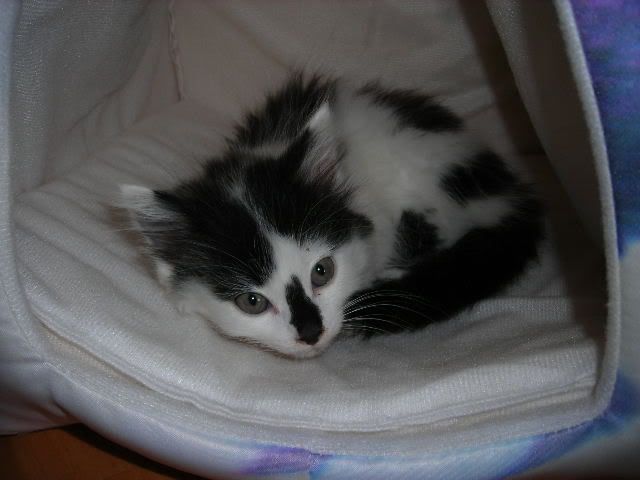 DSCN0307.jpg