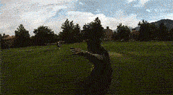 giphy.gif