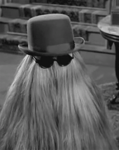 cousin-itt-addams-family.gif