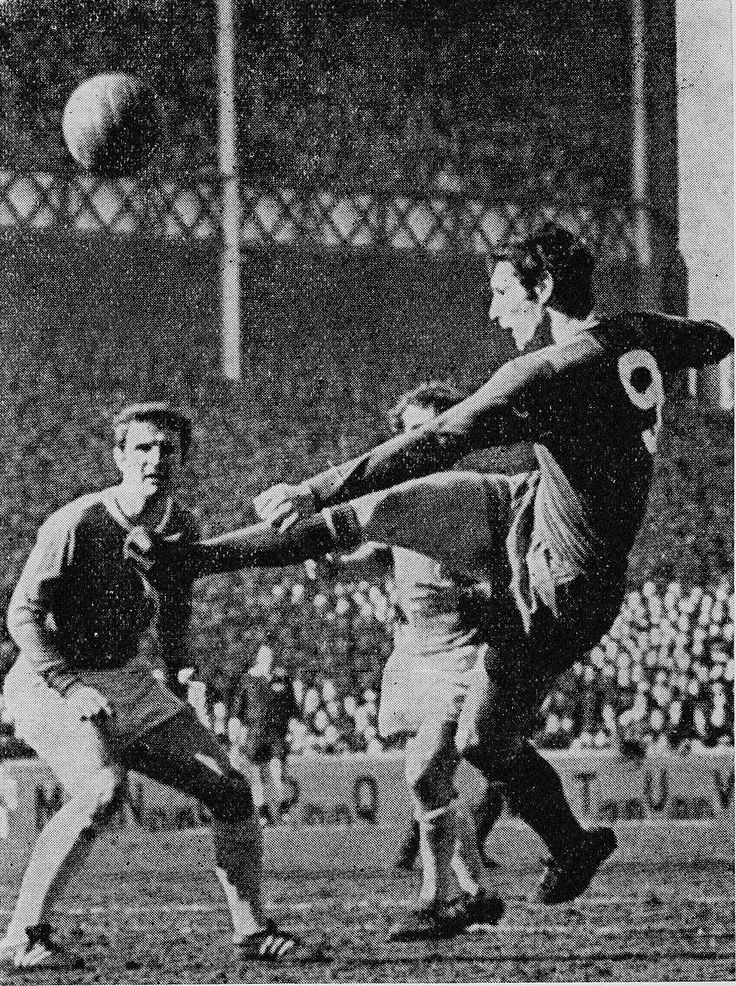 5d47db57d85b032122b9e18a552753dd--everton-sunderland.jpg