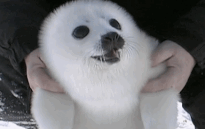 tumblr_n9ldgqMe2y1rd9eiwo2_400.gif