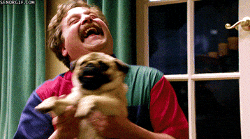200.gif