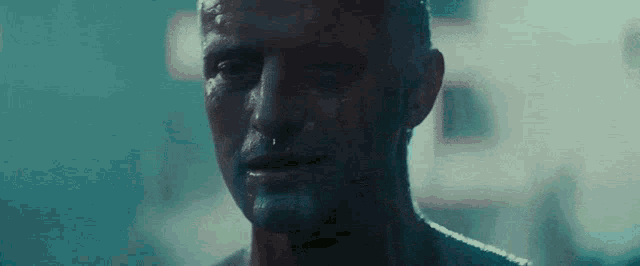 tears-in-rain-roy-batty.gif
