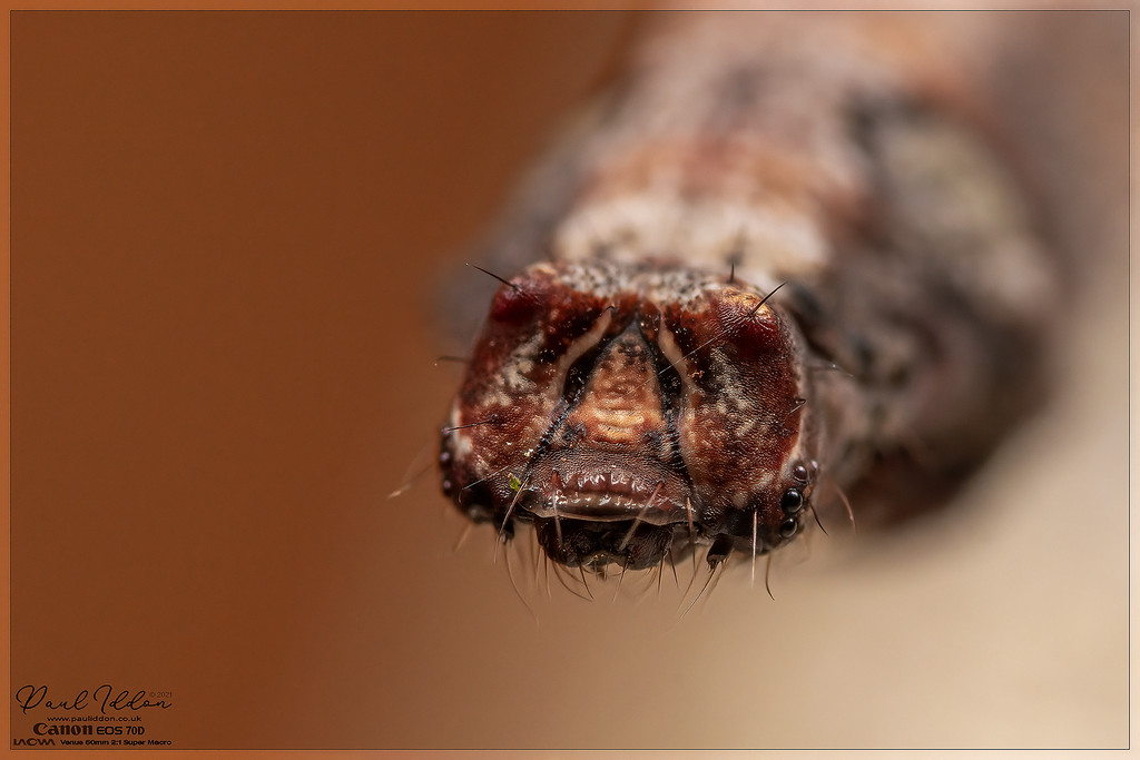 livingstick05_4k_1800-XL.jpg