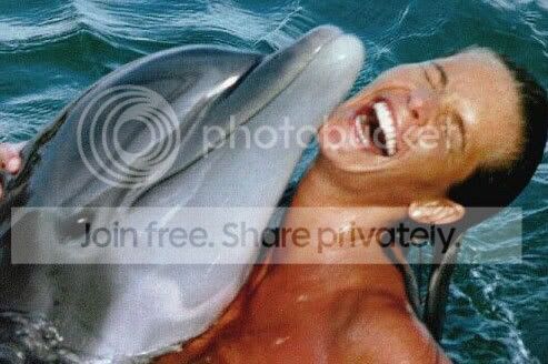 flipper.jpg