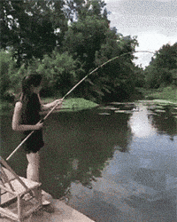 200w.gif