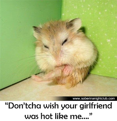 hammy+izismile.jpg