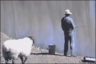 tumblr_m43pp2lGeX1qdlh1io1_400.gif