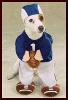 football-dog-costume.jpg