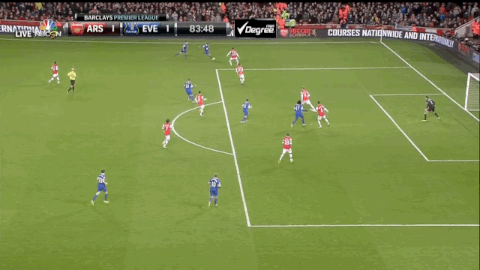 EvertonGOal.gif