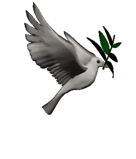 animated-dove-gif-5.gif