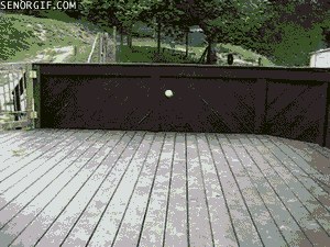 tennisballz.gif