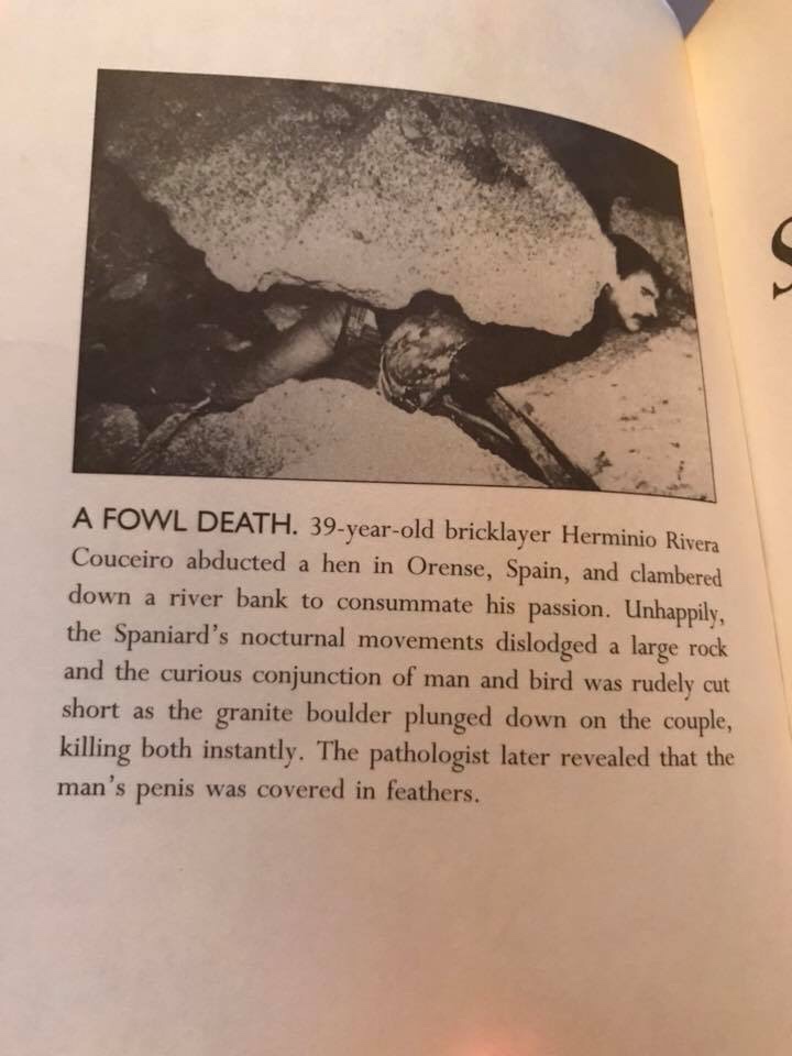 iNVVkiF.jpg
