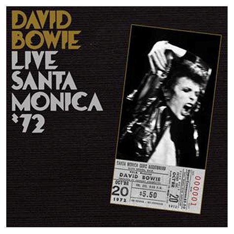 david-bowie-live-santa-monica-433859.jpg