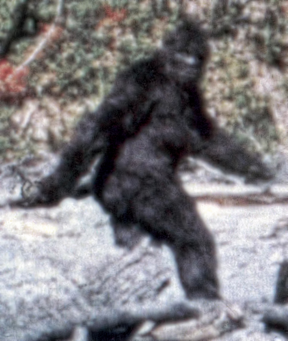 bigfoot1.jpg
