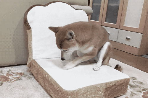 tumblr_n8jdgapuv91stmjkwo1_500.gif