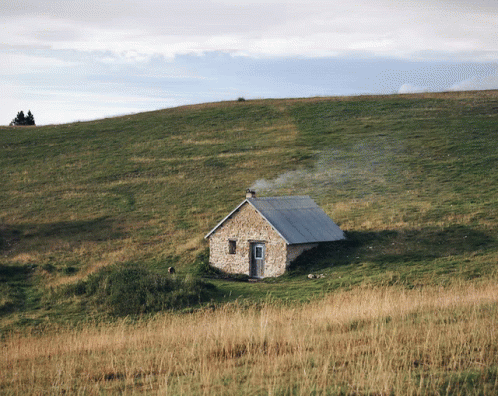 peace-home.gif