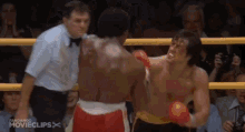 rocky2-rocky-ii.gif