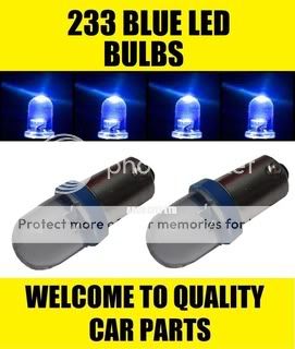 233BLUEBULBS.jpg