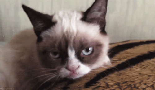 tumblr_mc67cfiRwF1qgy1evo1_r2_500.gif