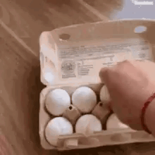 infokomposter-eggs.gif