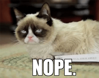 cat-nope.gif