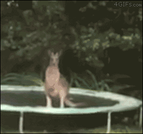 814a71f39f4cb468ad4574bc7925271b.gif