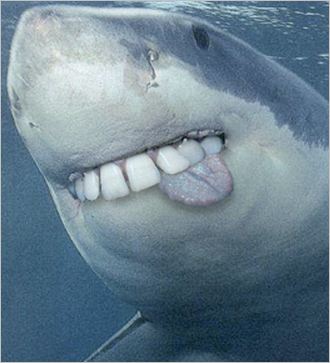 shark-human-teeth-derp.jpg
