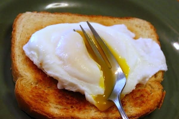 eggs+016.JPG