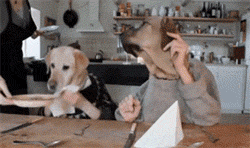 7264940710d49256b51d64b70212fb28.gif