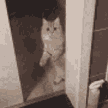 reverse-sliding-door.gif