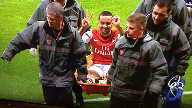 theo-walcutt-2068967.jpg