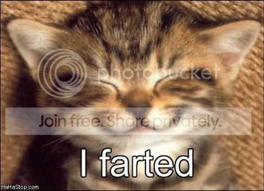 Farted.jpg