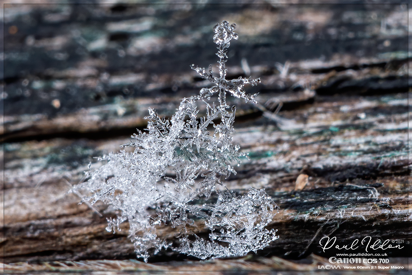 snow02_1400.jpg