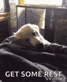 sweet-dreams.gif