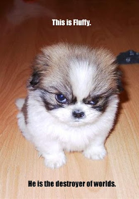 Fluffy.jpg