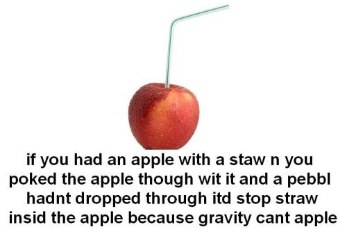 tumblr_l64ty8zSv01qzh5gno1_500.jpg