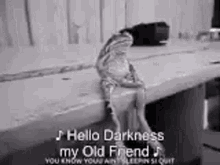frog-hello-darkness.gif