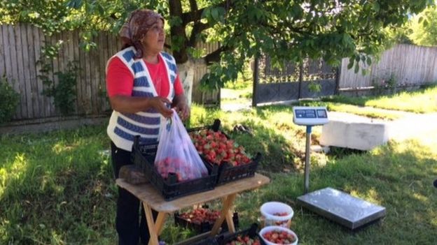 _101730228_strawberryseller.jpg