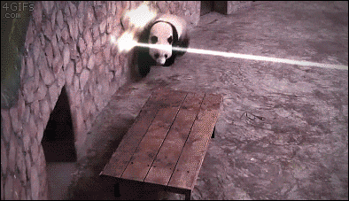 UmslhaK.gif