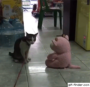 tumblr_pdiu7iWdTT1wvo7i8o1_400.gif