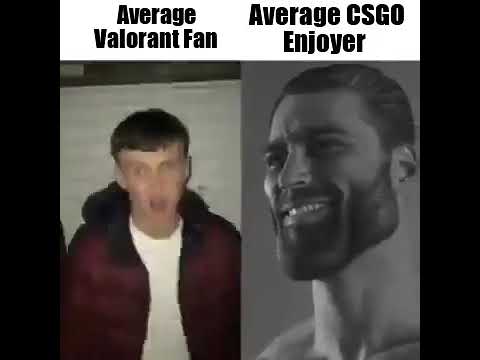 hqdefault.jpg