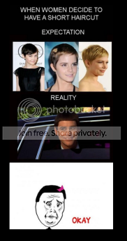shorthair_zps7ad48308.png