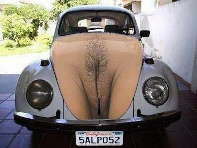 pubes.bmp