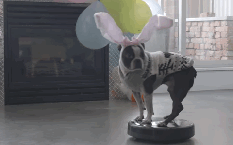 tumblr_o4mkvlbYNz1sxqyhyo1_500.gif