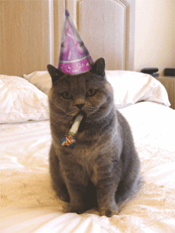 12Ix.gif