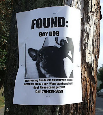 gay-dog.jpg