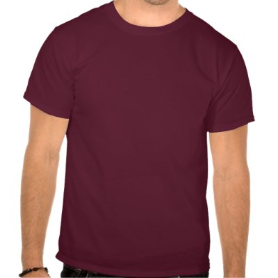 i_ruined_christmas_t_shirt-p235329437419438207ou75_400.jpg