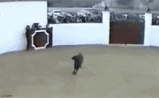 200.gif