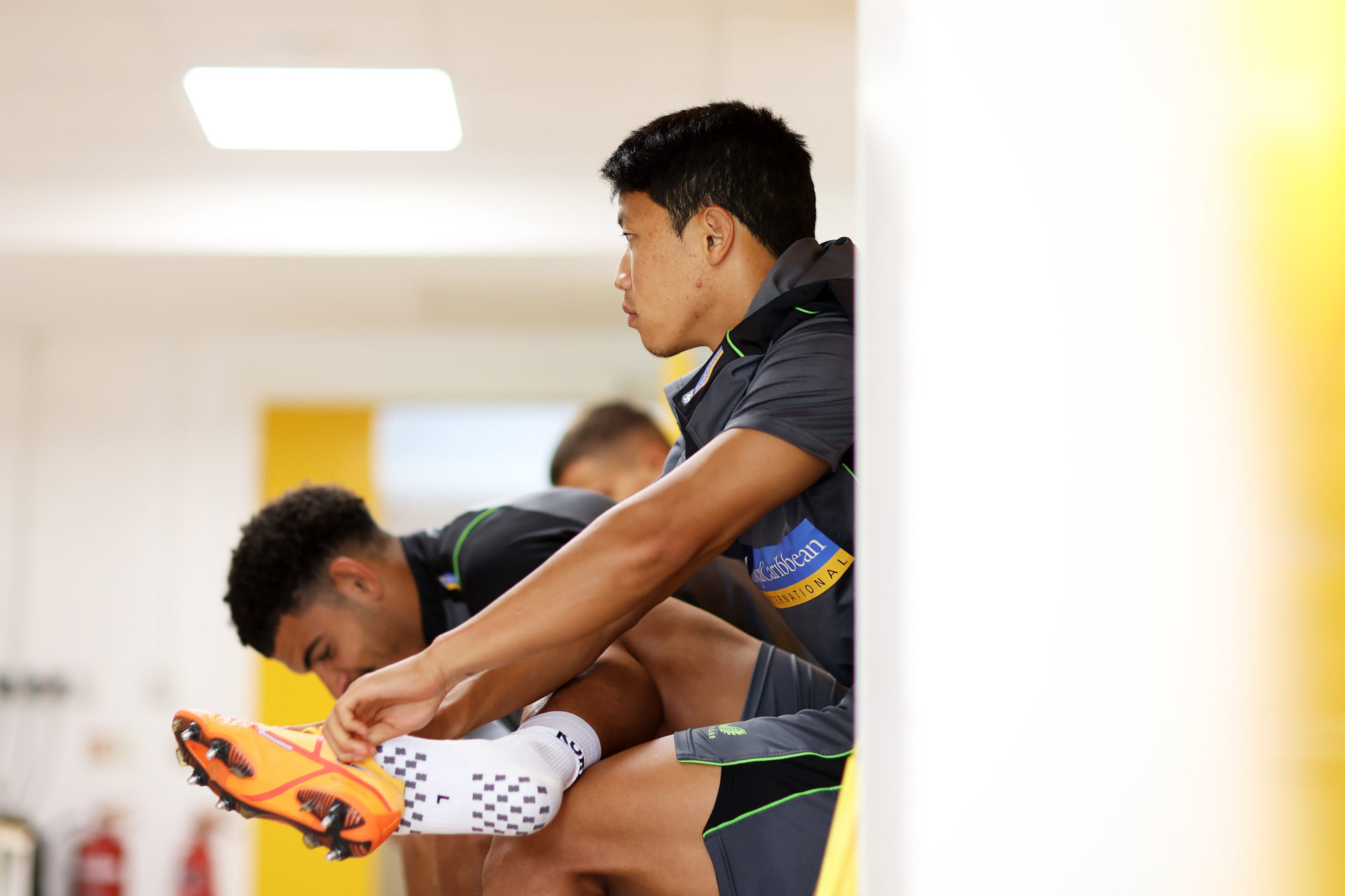 www.molineux.news